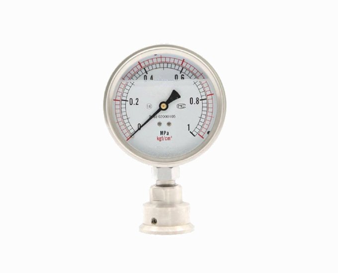 Sanitary Flange type Diaphragm Seal Pressure Gauge